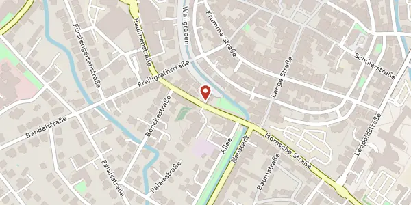 Karte der Umgebung von Paulinenstr. 3, 32756 Detmold