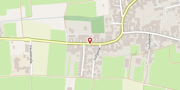 Karte der Umgebung von Ludwigstraße 16, 67161 Gönnheim