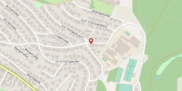 Karte der Umgebung von Bergstr. 36b, 65817 Eppstein