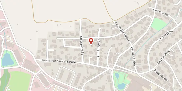 Karte der Umgebung von Am Ringwolf 9, 63571 Gelnhausen