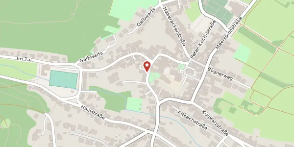 Karte der Umgebung von Peter-Koch-Straße 43, 67435 Neustadt