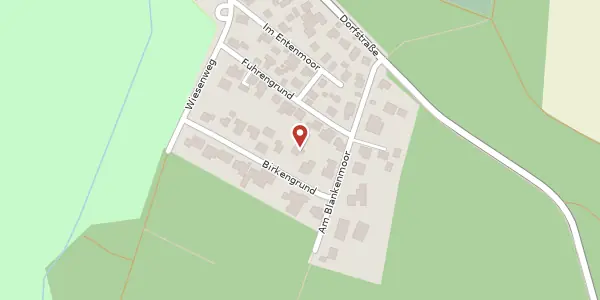 Karte der Umgebung von Birkengrund 11, 38518 Gifhorn