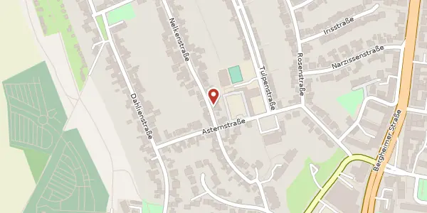 Karte der Umgebung von Nelkenstr. 25d, 41466 Neuss