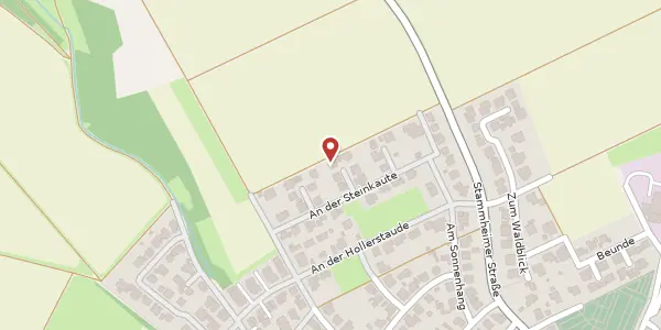 Karte der Umgebung von An der Steinkaute 33, 63674 Altenstadt