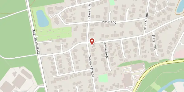 Karte der Umgebung von Thorner Straße 16, 29683 Bad Fallingbostel