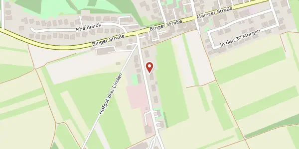 Karte der Umgebung von Ober-Olmer-Straße 12 - 14, 55263 Ingelheim