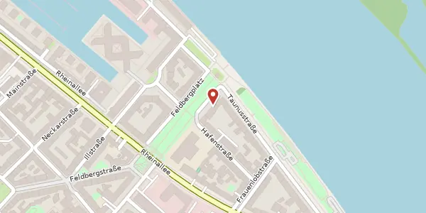 Karte der Umgebung von Feldbergplatz 8, 55118 Mainz