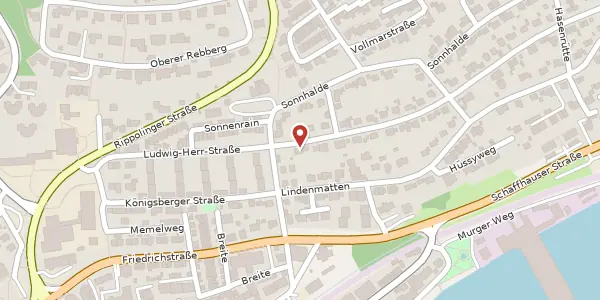 Karte der Umgebung von Ludwig-Herr-Straße 36, 79713 Bad Säckingen
