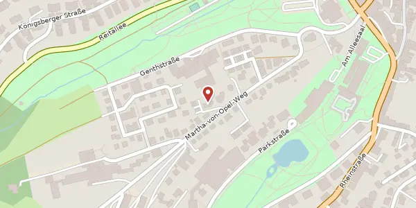 Karte der Umgebung von Martha-von-Opel-Weg 13, 65307 Bad Schwalbach