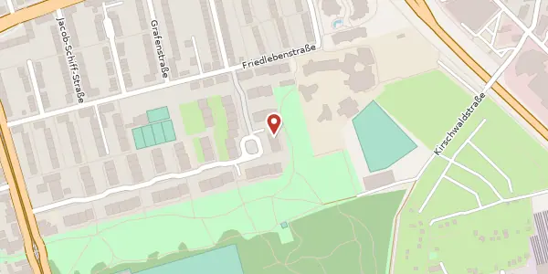 Karte der Umgebung von Walter-Leiske-Str. 54, 60320 Frankfurt