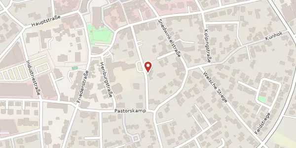 Karte der Umgebung von Emsdettener Str. 37, 48485 Neuenkirchen