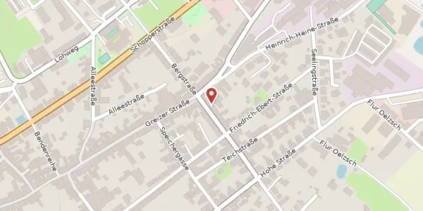 Karte der Umgebung von Dr.-Stemler-Straße 4, 07937 Zeulenroda-Triebes