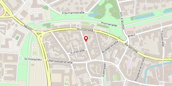 Karte der Umgebung von Hollenbeckerstr. 25, 48143 Münster