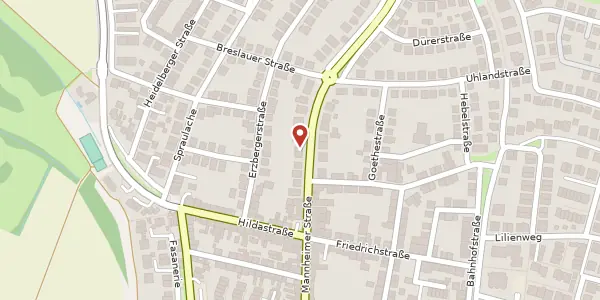 Karte der Umgebung von Mannheimer Straße 55a, 68782 Brühl