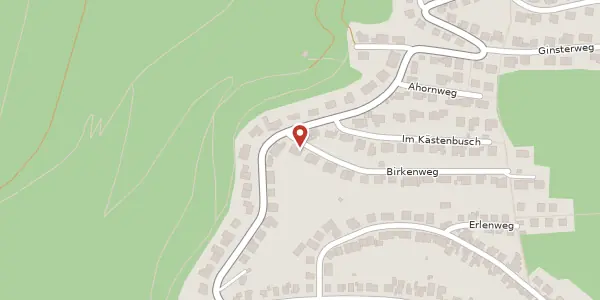Karte der Umgebung von Birkenweg 4, 67434 Neustadt
